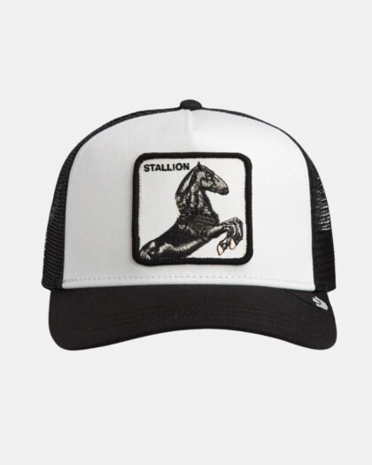 Goorin Bros Stallion Trucker Dust Void