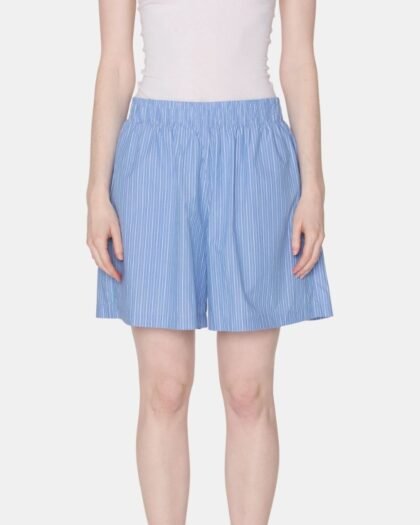 Obey Leisure Stripe Short Blue Multi