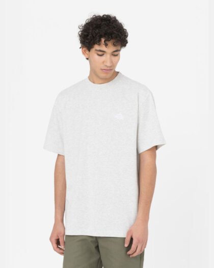 Dickies T-Shirt Summerdale Light Grey