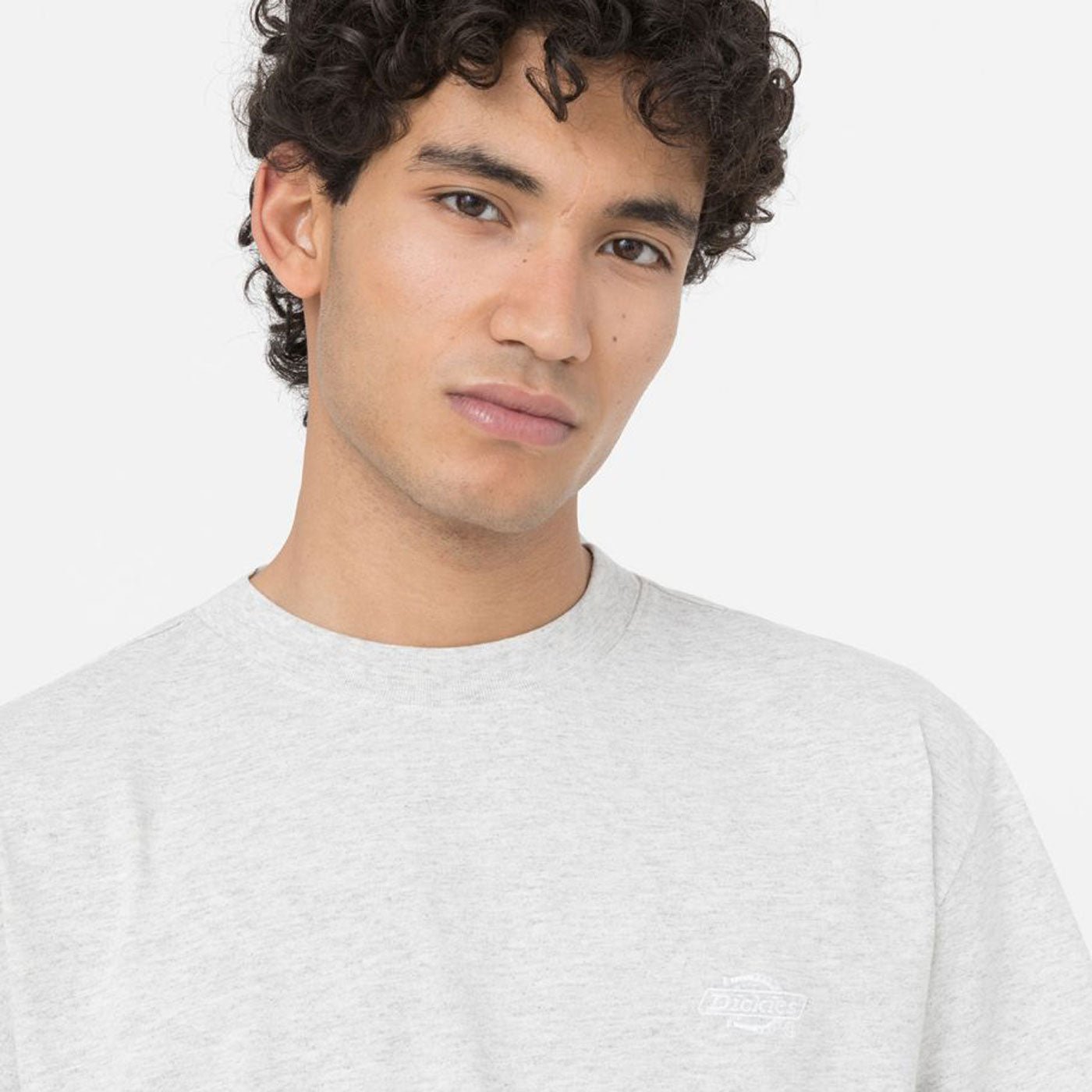 Dickies T-Shirt Summerdale Light Grey - Image 4