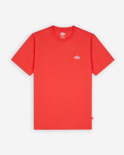 Dickies T-Shirt Summerdale Bittersweet