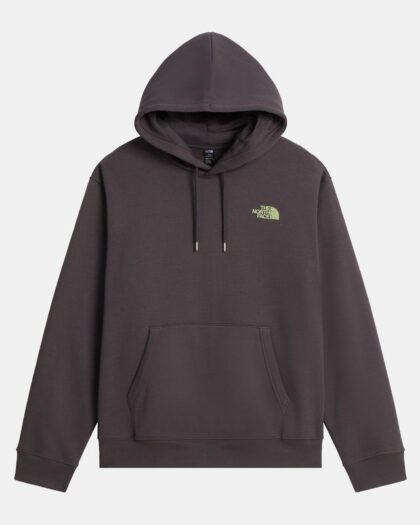 The North Face U Nse Slopes Relaxed Hoodie - Graphic Anthracite Grey